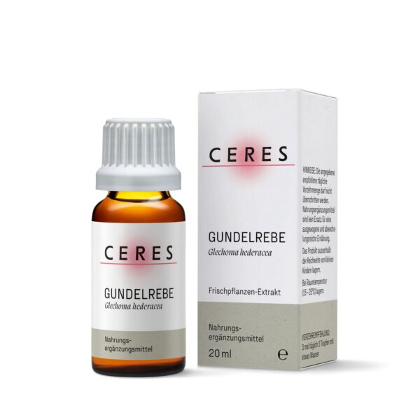 Gundelrebe Frischpflanzen-Extrakt