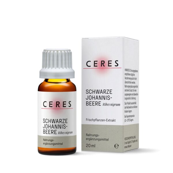 Schwarze Johannisbeere Frischpflanzen-Extrakt